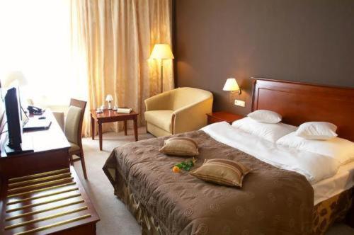 Aviator Hotel Radom Bilik gambar